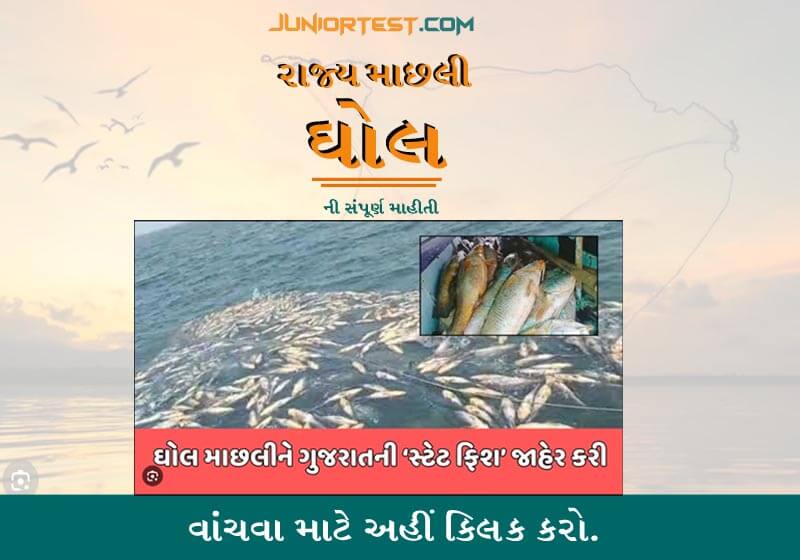 ઘોલ માછલી