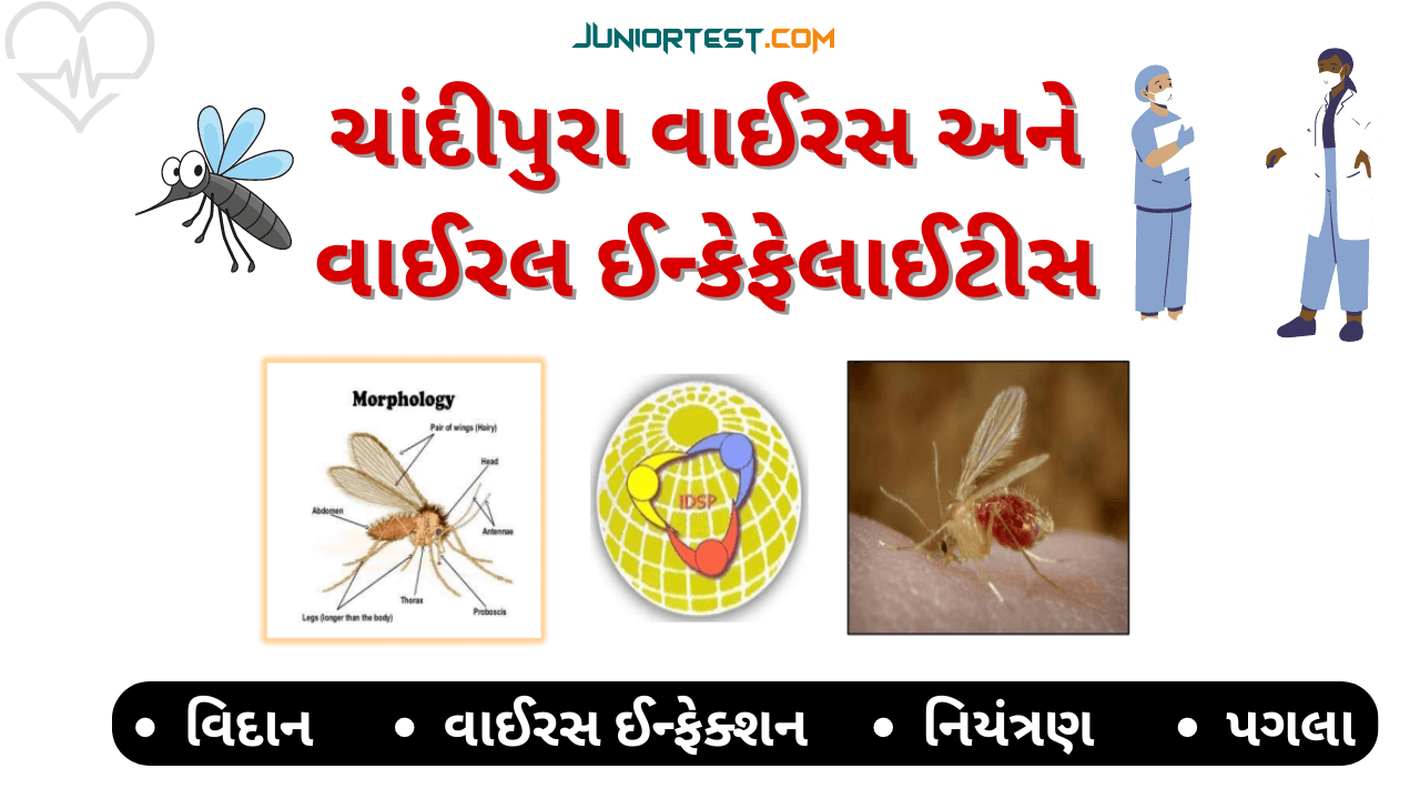 ચાંદીપુરા વાઈસર